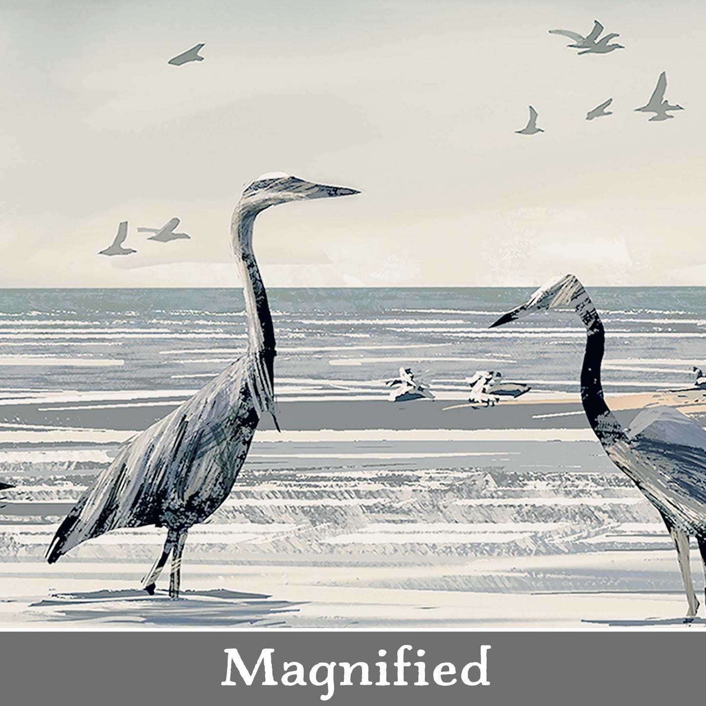 BEACH HERONS
