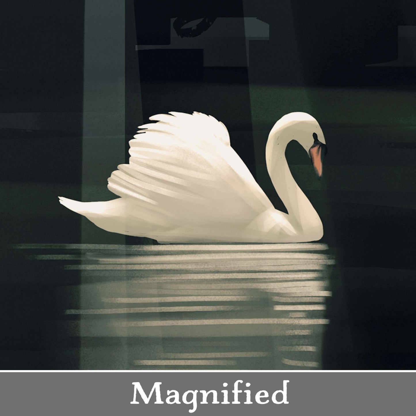 SWAN LAKE