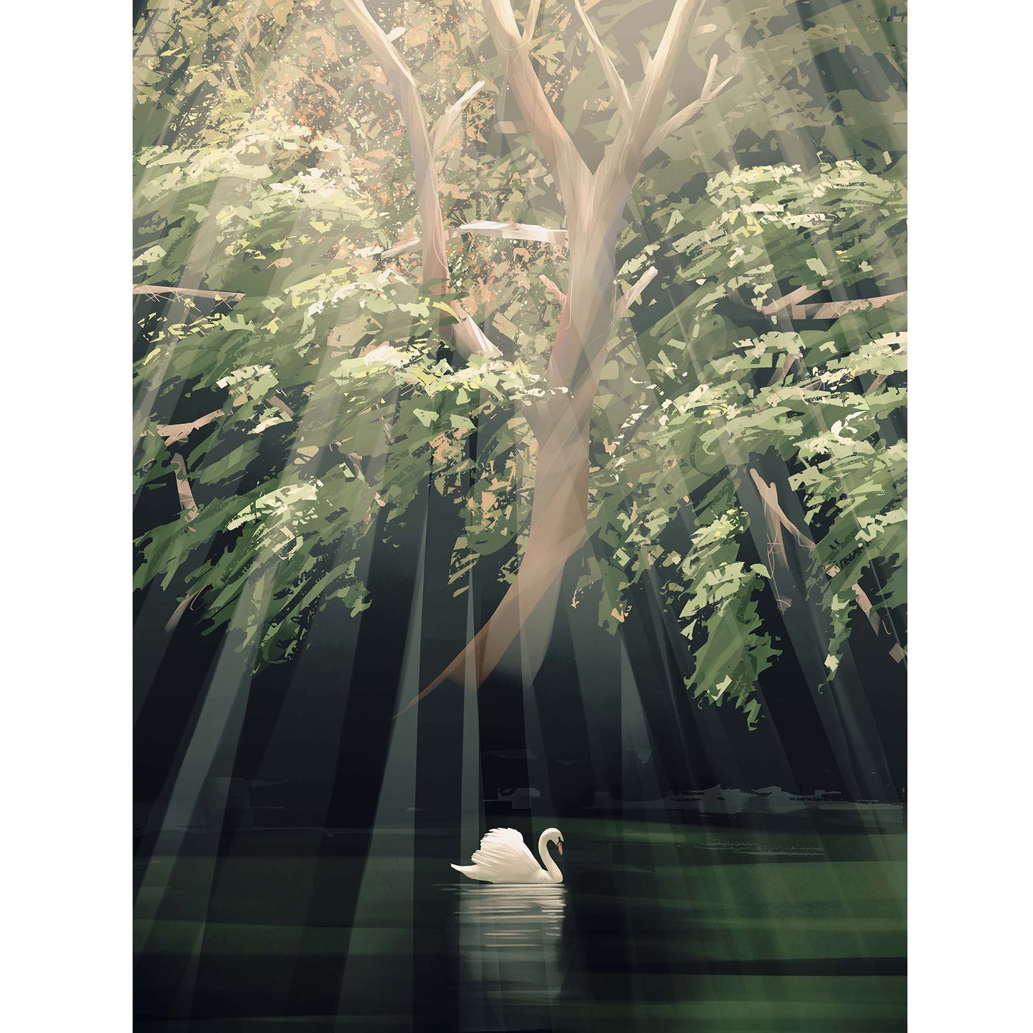 SWAN LAKE