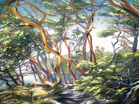 ARBUTUS PATH
