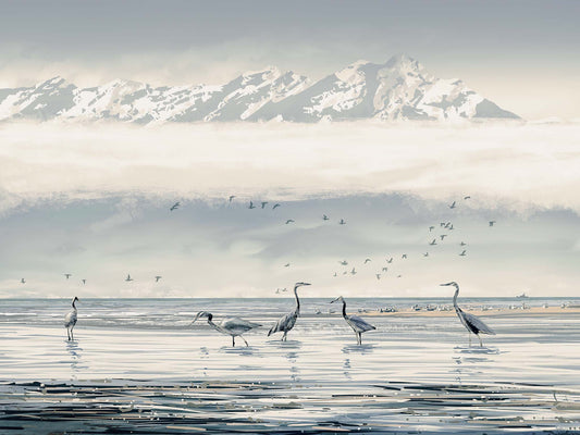 BEACH HERONS