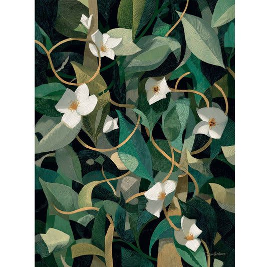 IVY